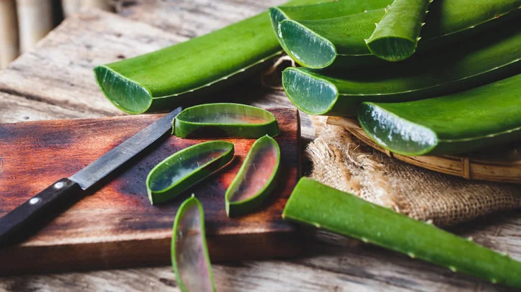 Erfrischung pur: Forever Aloe Vera Gel für strahlende Haut