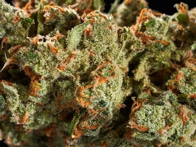 CBD Blüten kaufen: Die besten Sorten für Entspannung