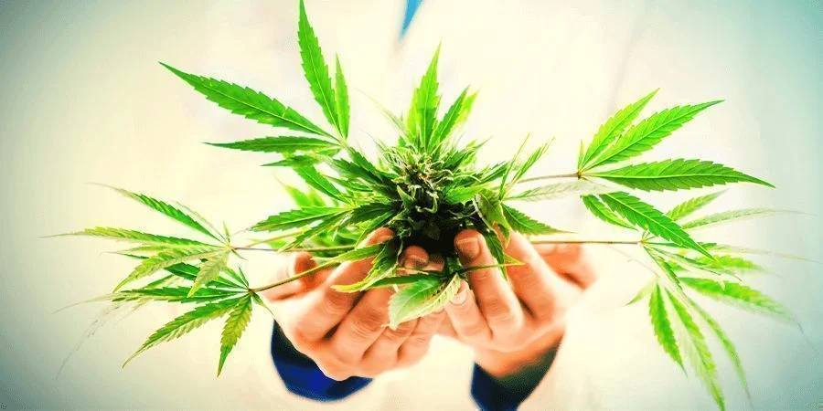 Stressbewältigung mit CBD-Öl: Ein natürlicher Ansatz für die Herausforderungen des modernen Lebens