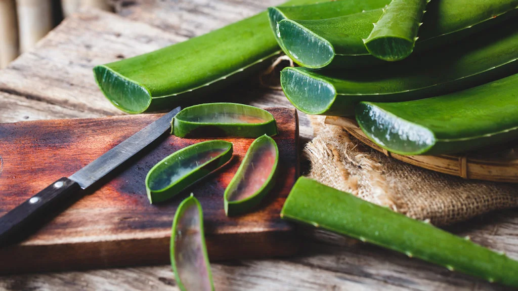 Erfrischung pur: Forever Aloe Vera Gel für strahlende Haut