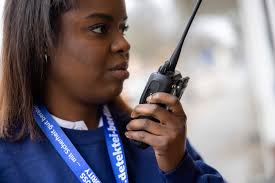 Detektei Investigations: Clues in Crimson